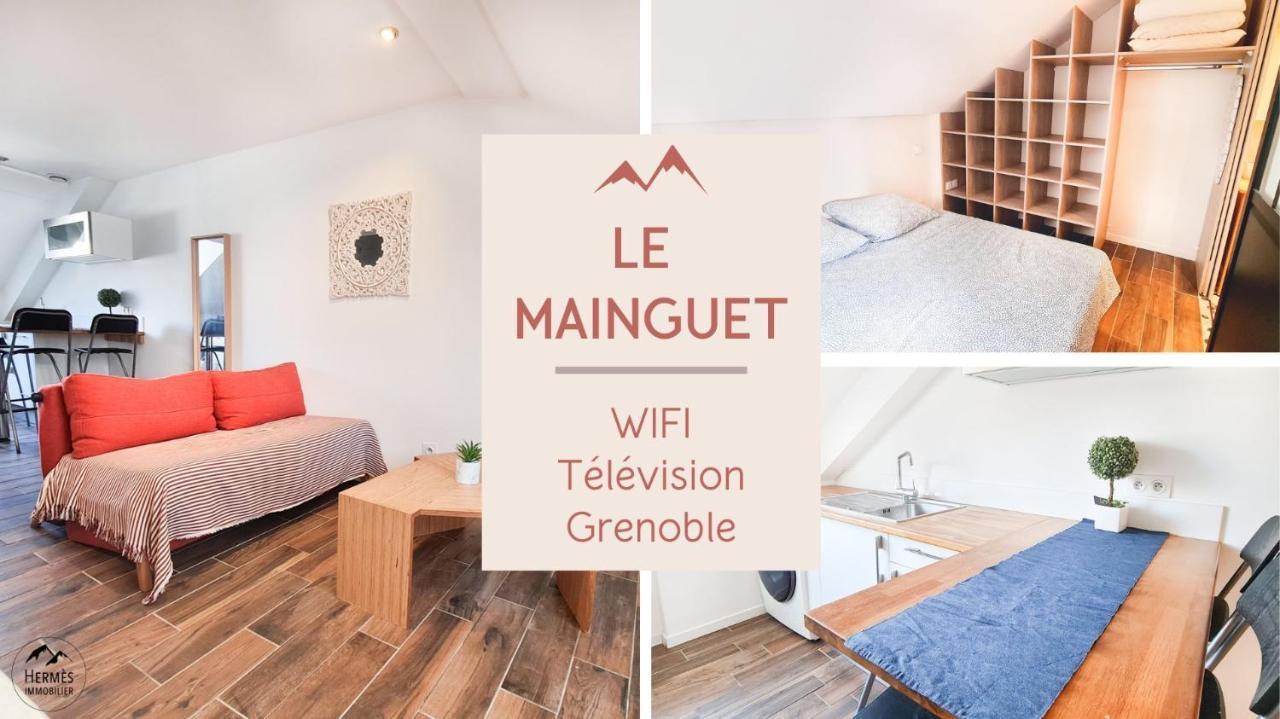Le Mainguet - Appartement Cosy - Grenoble Exterior photo